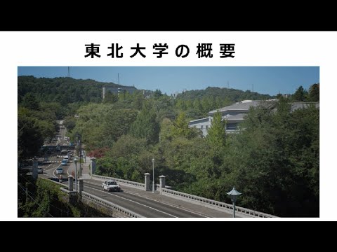 東北大学の概要