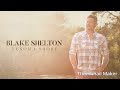Reviewing Blake Sheltons Texoma Shore Album Reviewing Blake Sheltons Texoma Shore Album