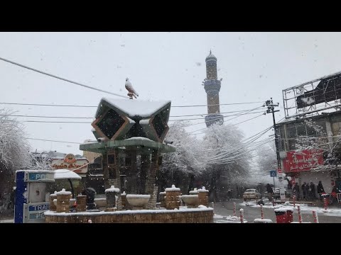 Sulaymaniyah Snow Walk 17/1/2022 بەفری سلێمانی- چوارباخ -خانەقا