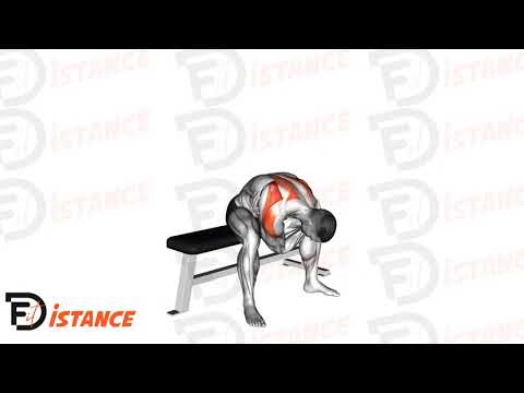 Exercice Étirement des rhomboïdes assis