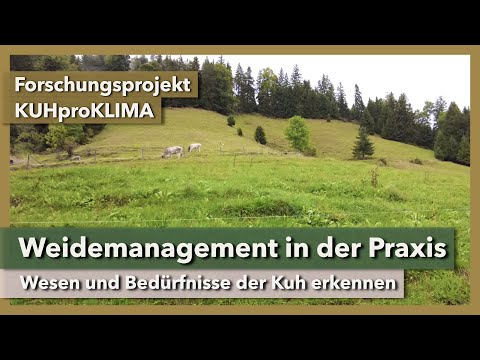 Weidemanagement in der Praxis - von den Kühen lernen | KUHproKLIMA | KugelSüdhangHof | 2022