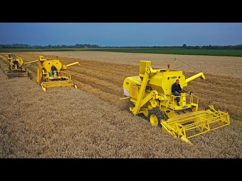 The last harvest | 3x Claeys/Clayson M103 & M80 at work