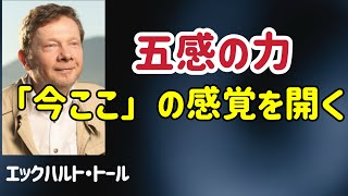 「今ここ」の感覚を開く、五感の力/エックハルト・トール/目覚め/今ここ/覚醒