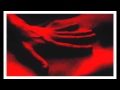 Tears Run Rings - Mind the Wires (Pola X)