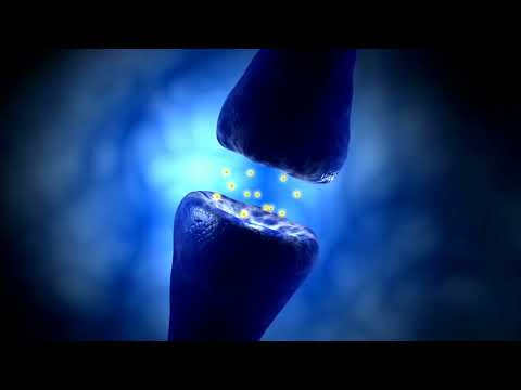 Reflex Action in 60 Seconds | 3D Animation