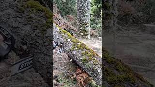 Stihl ms 441chainsaw