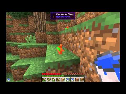 Minecraft FTB Horizons LP Series 1 Ep 2