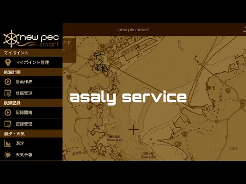 電子海図閲覧および情報システム - 定義