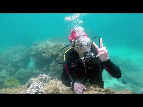 Diving, Safari, Shopping, and ... in cheapest place in the world!!