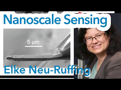 Novel approaches to nanoscale sensing using color centers in diamond | Elke Neu-Ruffing (RPTU)