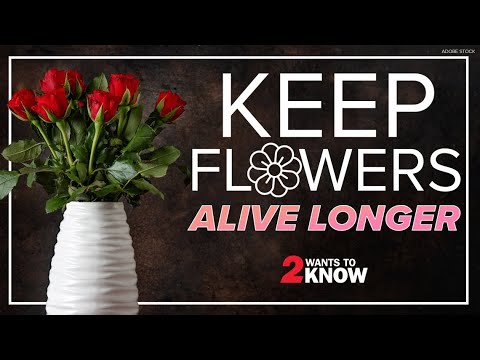 Tips and tricks to keeping flowers alive longer