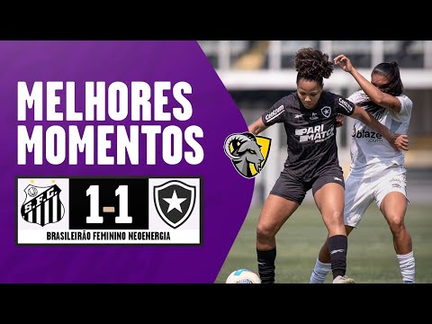 Gols e lances de Santos x Botafogo