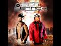 YO TENGO UNA GATA ZION Y LENNOX