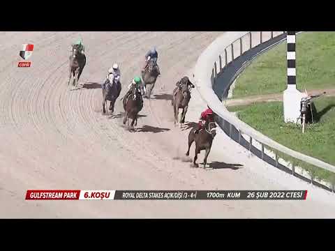 Super Saver’ın şampiyon kızı Letruska sezona etkileyici başladı