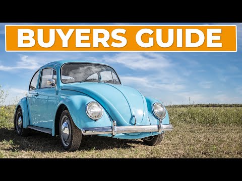 VW BEETLE BUYERS GUIDE - What to look for when buying a VW Beetle
