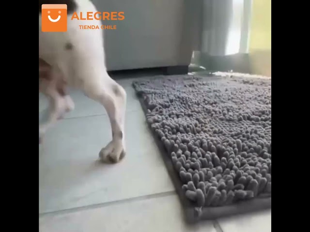 Vídeo relacionado con FCSDETAIL Alfombra Atrapapolvo, Alfombra Antideslizante Lavable en Lavadora, Felpudo de Entrada con Microfibras Suaves Absorbentes para Perro, Entrada, Puerta y Pasillo