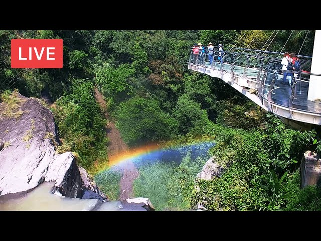 小烏來天空步道即時影像