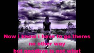 I CANT FIND THE WORDS TO SAY GOODBYE  with LYRICS (NINA)