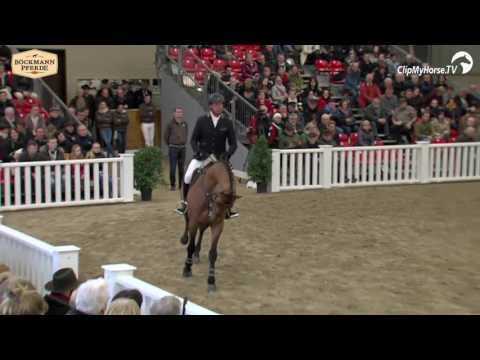 Lord Pezi Junior Hengstvorführung 2017 / Stallion show 2017