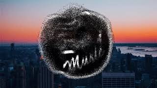 Amir Obe - Took You Seriously