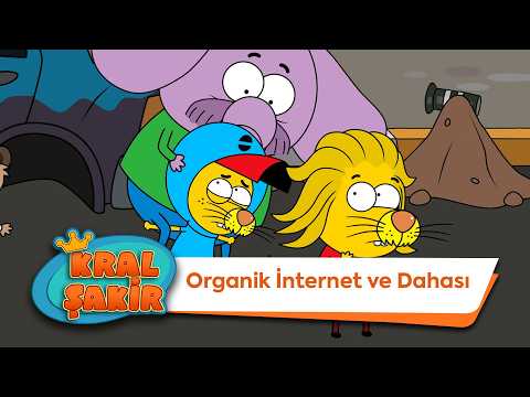 Organik İnternet Ve Dahası 🔥 - Kral Şakir
