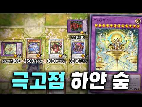 Yu-Gi-Oh! Master Duel: Playing the Theoretically Strongest White Forest Deck | Vortex Gaming Yu-Gi-Oh! Master Duel: Playing the Theoretically Strongest White Forest Deck | Vortex Gaming