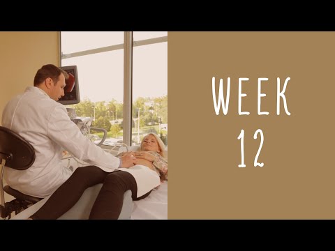 12 Weeks Pregnant - Pregnancy Week by Week