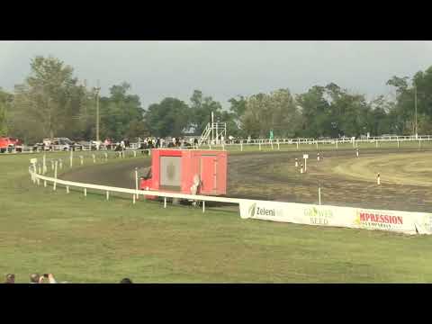 Peta trka Zobnatica 24.09.2023 ZOBNATICKA MILJA