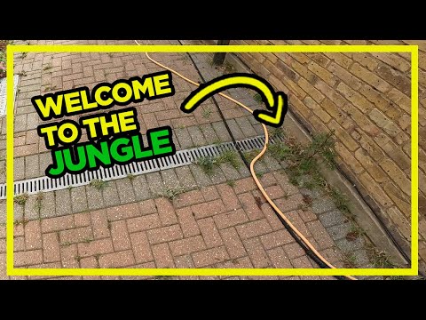 BLASTING WEEDS from Block Pavers *Driveway Cleaning Transformation*