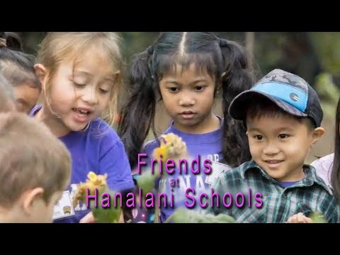 Stephen Fanning Photography and Video video.