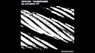 Spark Taberner - Blackbird [DNA_rec]