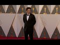 Oscars: Benicio del Toro Red Carpet (2016) | ScreenSlam