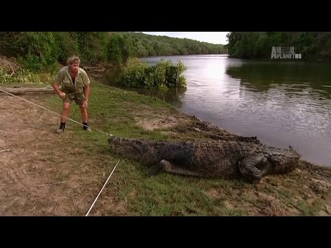The Crocodile Hunter - Best Of Steve Irwin - S01 E06
