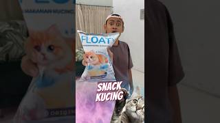 Download lagu Makan Makanan Kucing 🙀 mp3