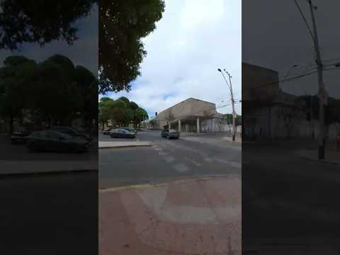 💜🌳 JACARANDA, BARRIO E HISTORIA 🔥 CORREDOR CONECTOR 🌱 AV.HENRIQUEZ ☀️ ATACAMA 🇨🇱 Chile #copiapo