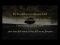 Mumford & Sons - I gave you all (lyrics) 
