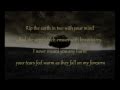 Mumford & Sons - I gave you all (lyrics) 