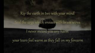 Mumford &amp; Sons - I gave you all (lyrics)