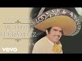 Vicente Fernández - Me Acuerdo Más de Ti (Cover Audio)