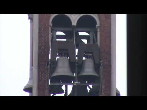 Le campane di Legnano (MI), Chiesa di San Domenico - Distesa del Re#3