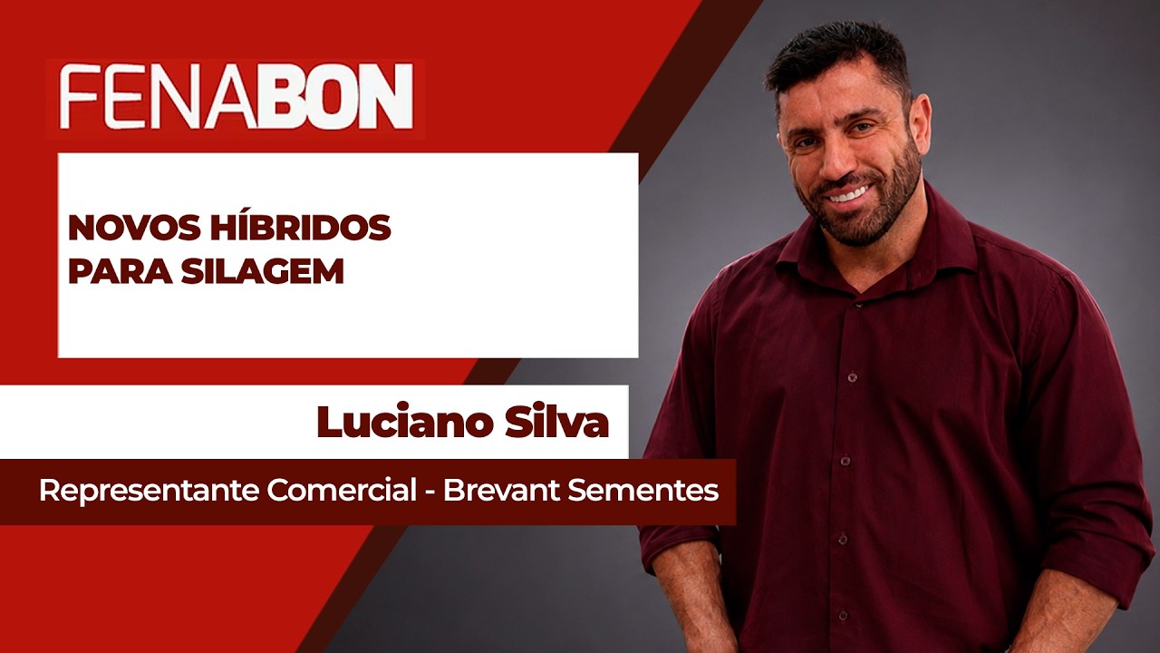Demanda do produtor muda perfil genético dos híbridos de milho para silagem na pecuária
