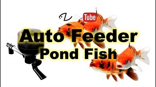 Watch Video