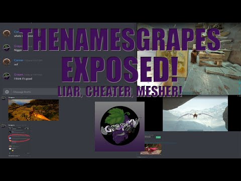 TheNamesGrapes Exposed: Liar, Cheater, Mesher!