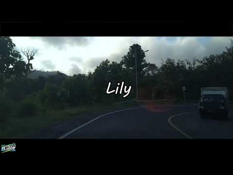 Alan Walker, K-391 & Emelie Hollow - Lily | Future Bass Remix ( Bootleg )