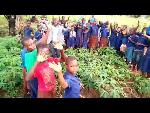 WCC healthcare project
