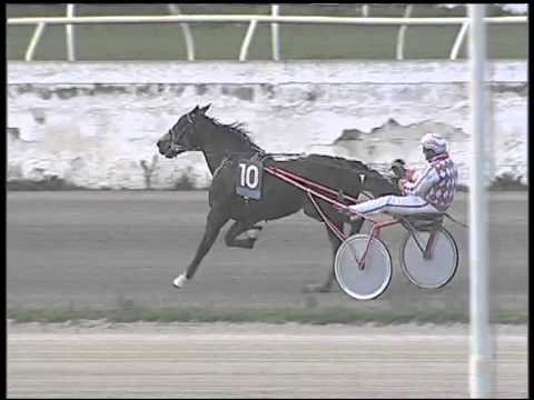 Trotto 01/03/2015 - 4° corsa