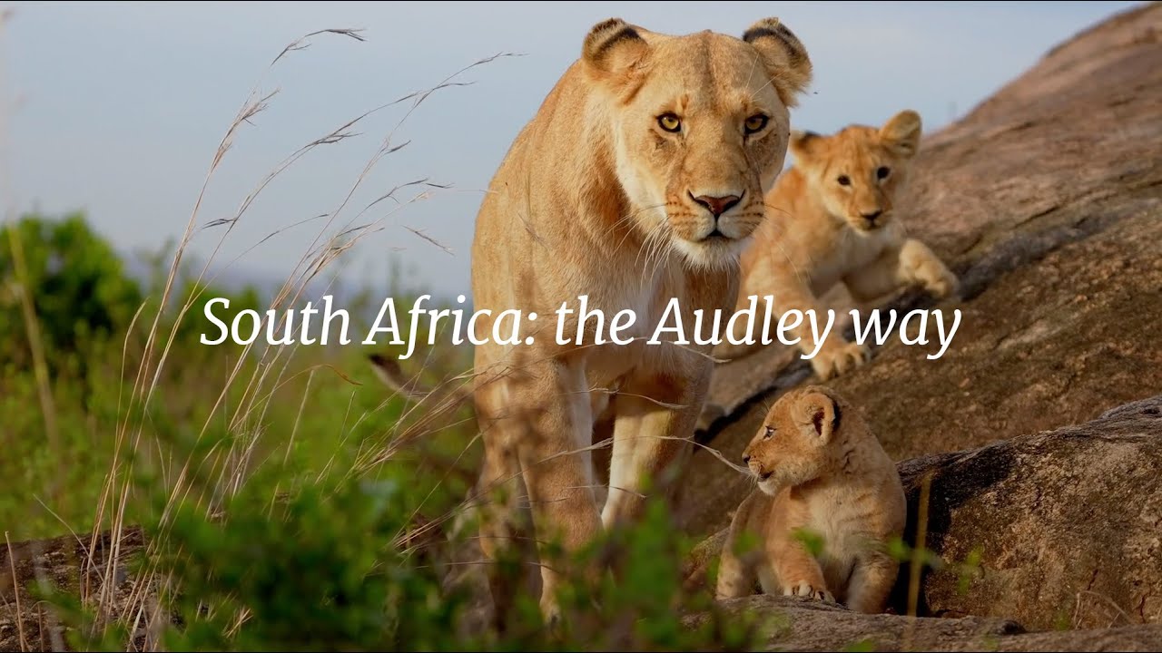 South Africa: the Audley way