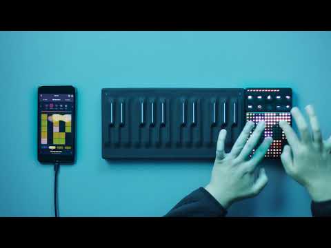 Everything by Lido: NOISE Soundpack