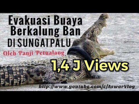 Cedera tulang belakang dan impotensi Forum ulasan exciter untuk ulasan wanita
