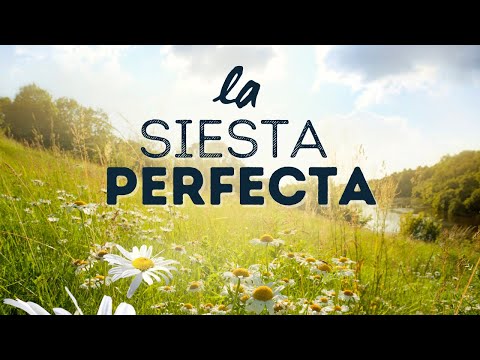 🎵 [PRUEBA esta SIESTA de 35 Minutos)| REINICIA tu CEREBRO  Binaurales✅Autoconocimiento 360º✅